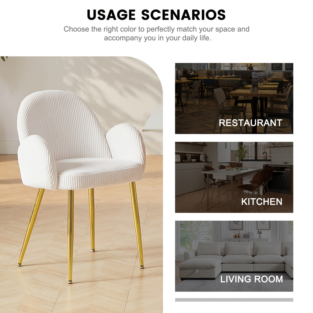 Set of 2 Modern Dining Chairs with Upholstered Cushioned Seats & Sturdy Metal Legs